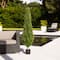 5ft. Potted UV Resistant Rosemary Cone Topiary Tree